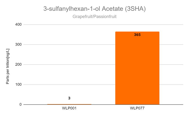 3SHA Graph