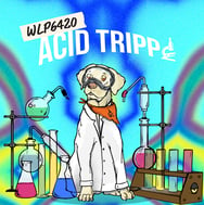 Get Trippy with WLP6420 Acid Tripp