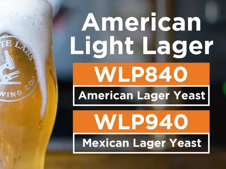 American Light Lager