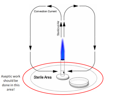 Aseptic Technique