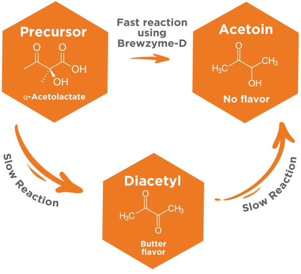 Brewzyme-D Process