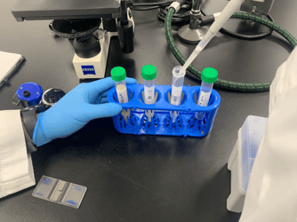 Dilution Tubes