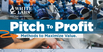 Pitch To Profit