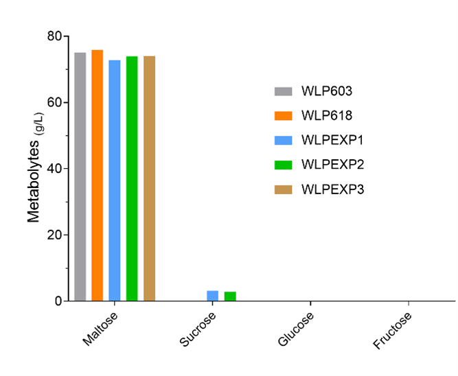 Figure 5. Sugar composition of the final low ABV beer, measured by HPLC.