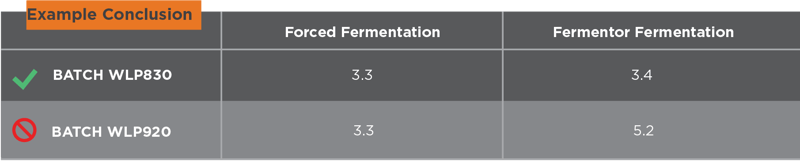 Forced Fermentation Example