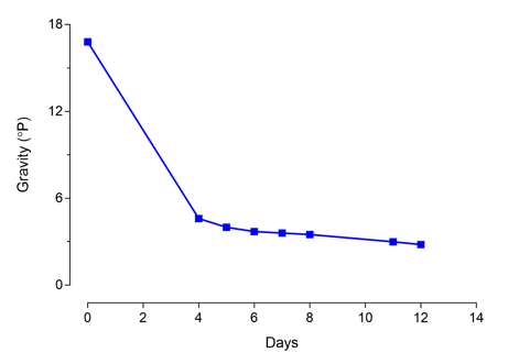 Green Malt Fermentation Curve