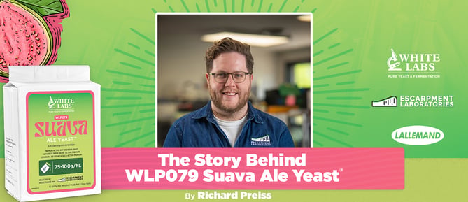 The Story Behind WLP079 Suava Ale Yeast®