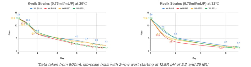 Kveik Fermentation Graph