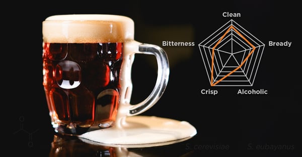 Lager Spider Graph
