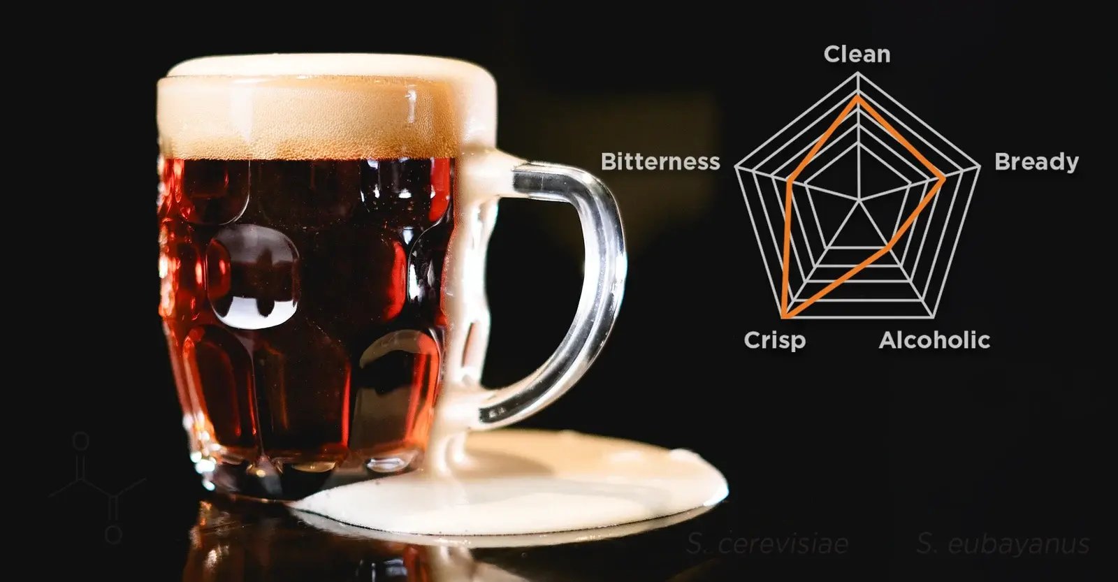Lager Spider Graph