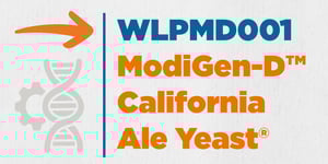 WLPMD001 California Ale Yeast®