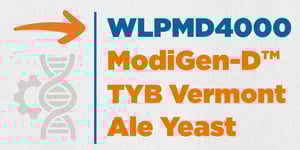 WLPMD4000 TYB Vermont Ale Yeast