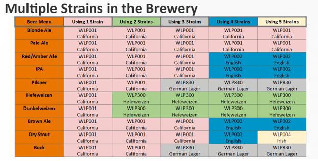 Multiple Strains In the Brewery