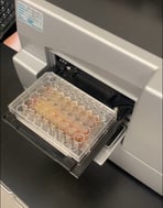 Osmotic and Acid Stress Tolerance of Yeast