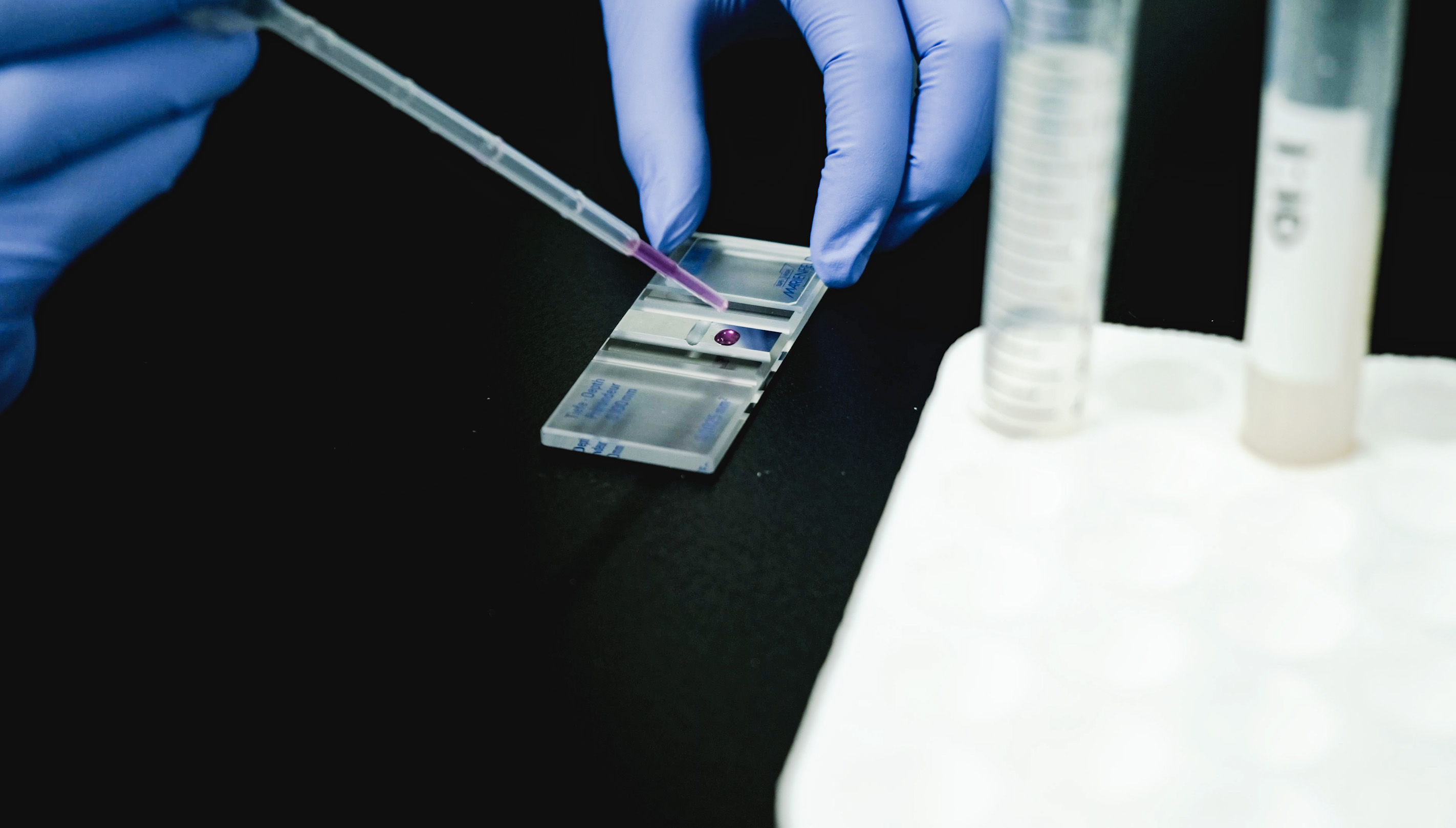 Lab_CellCounting_01
