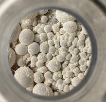 R&amp;D Experiment: WLP655 Belgian Sour Mix 1 Over Time