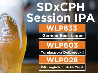 SDxCPH Session IPA