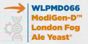 WLPMD066_London Fog Ale Yeast®