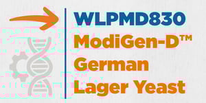 WLPMD830 German Lager Yeast