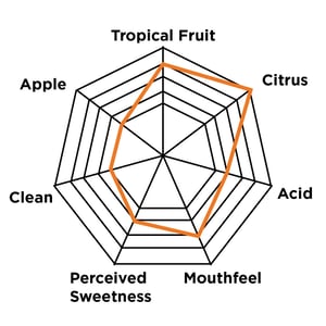 WLP066 Flavor Wheel