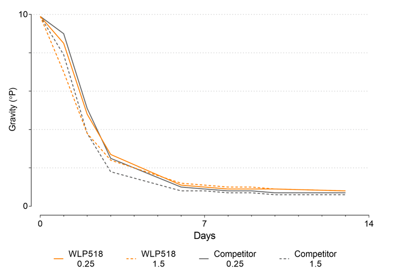 WLP518 Pseudolager Graph