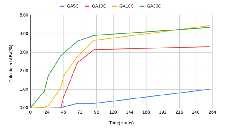 WLP548 Strain GA Graph Temp