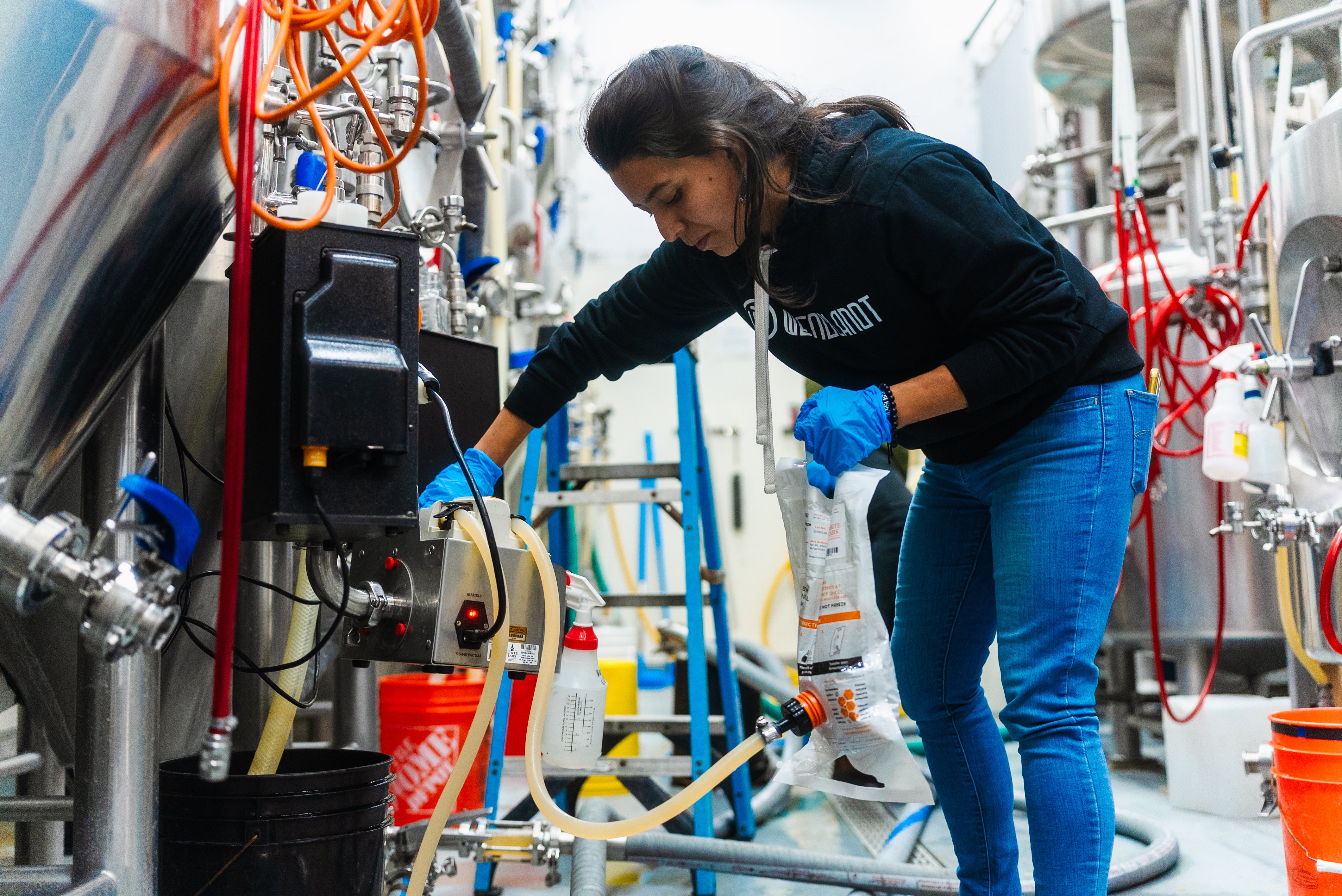 WL_Collab_Wend_PPNG_05