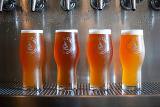 Many Flavors of Fermentation Part 3 - Interactions &amp; Applications
