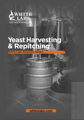Yeast Harvesting and Repitching Cover Image