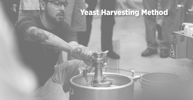 Yeast Harvesting Method