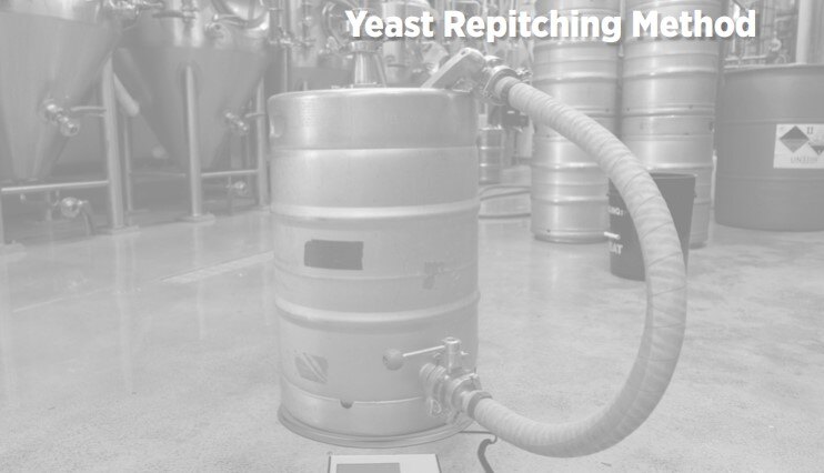 Yeast Repitching Method