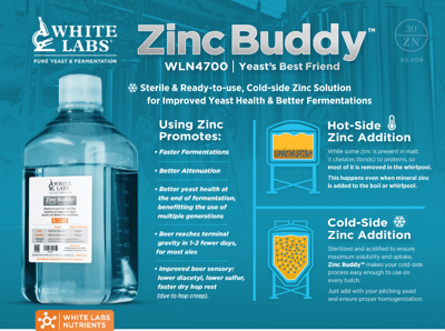 Featured image: Brew Your Best Beer with Zinc Buddy