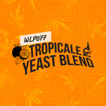 WLP077 Tropicale Yeast Blend - New Thiol Releasing Non-GMO Yeast Blend