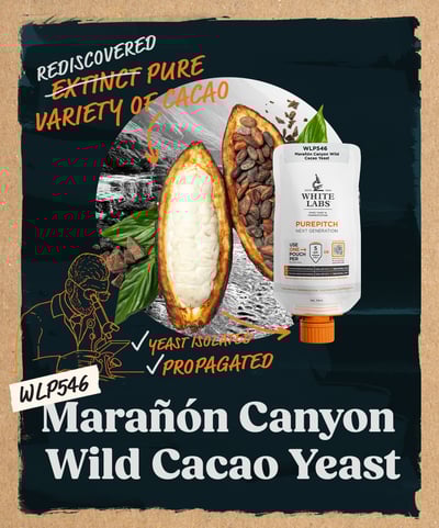 wlp546_cacao_yeast_blend_digital_graphic