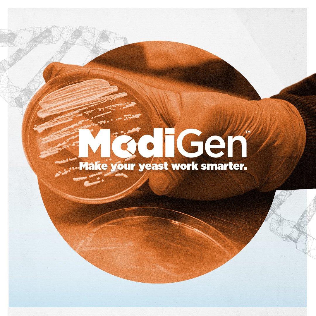 Introducing ModiGen™D Series Yeast Strains