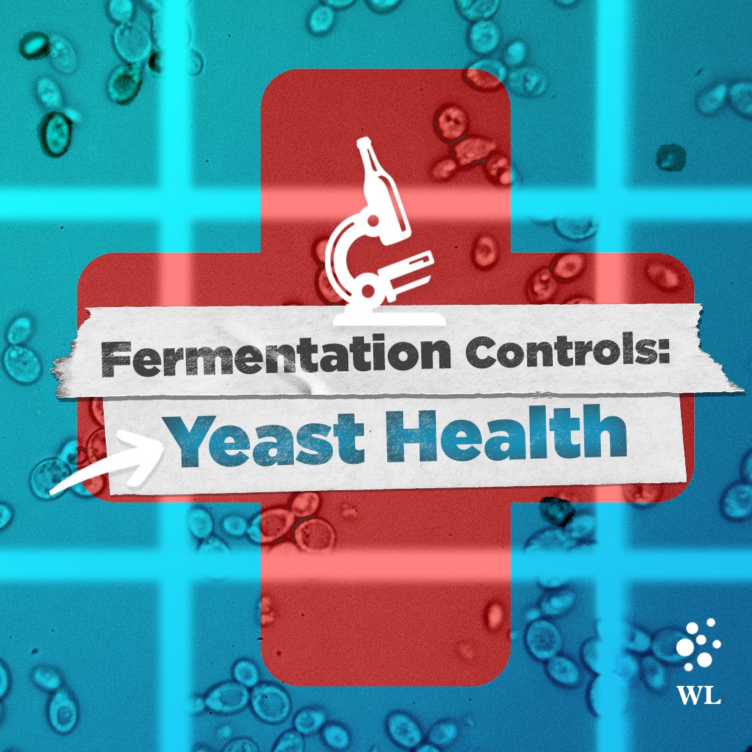 Fermentation Controls: Yeast Health