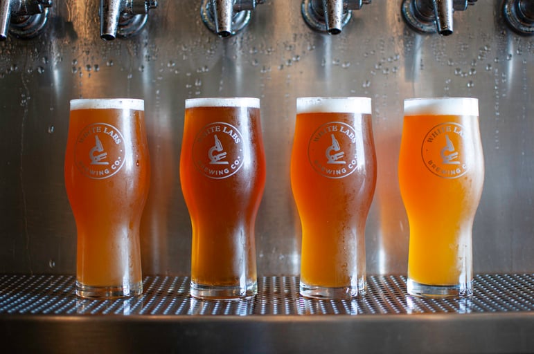 Many Flavors of Fermentation Series Part 3 - Interactions & Applications